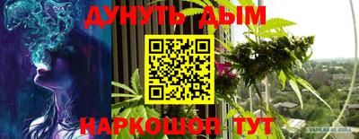 прущие грибы Абакан