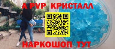 прущие грибы Абакан