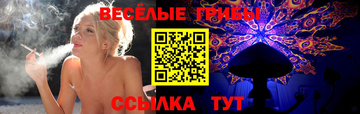 Алексин  Галлюциногенные грибы MAGIC MUSHROOMS  Вход с VPN 